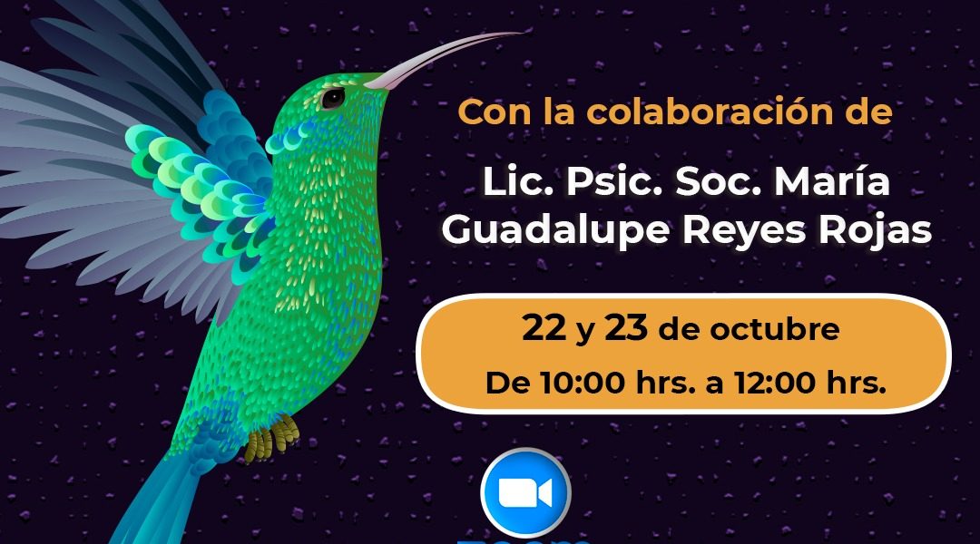 Conferencia: Vive el duelo y abraza la vida.